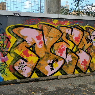 Eyre Lane Graffiti (Autumn 2016)
